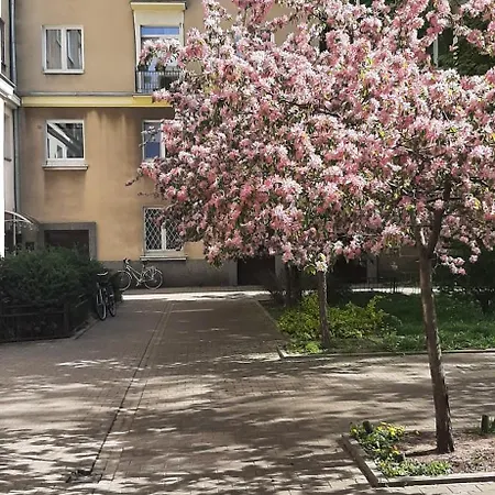 Old