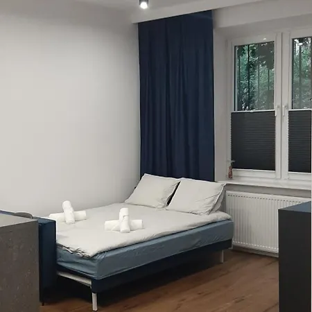 Apartman Old *